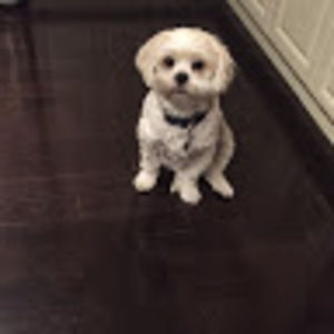 Meet your Posher, Loredana